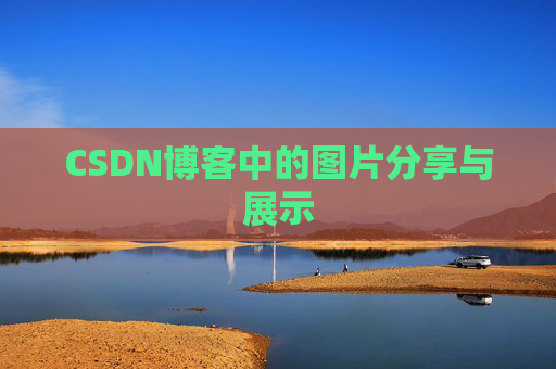 CSDN博客中的图片分享与展示